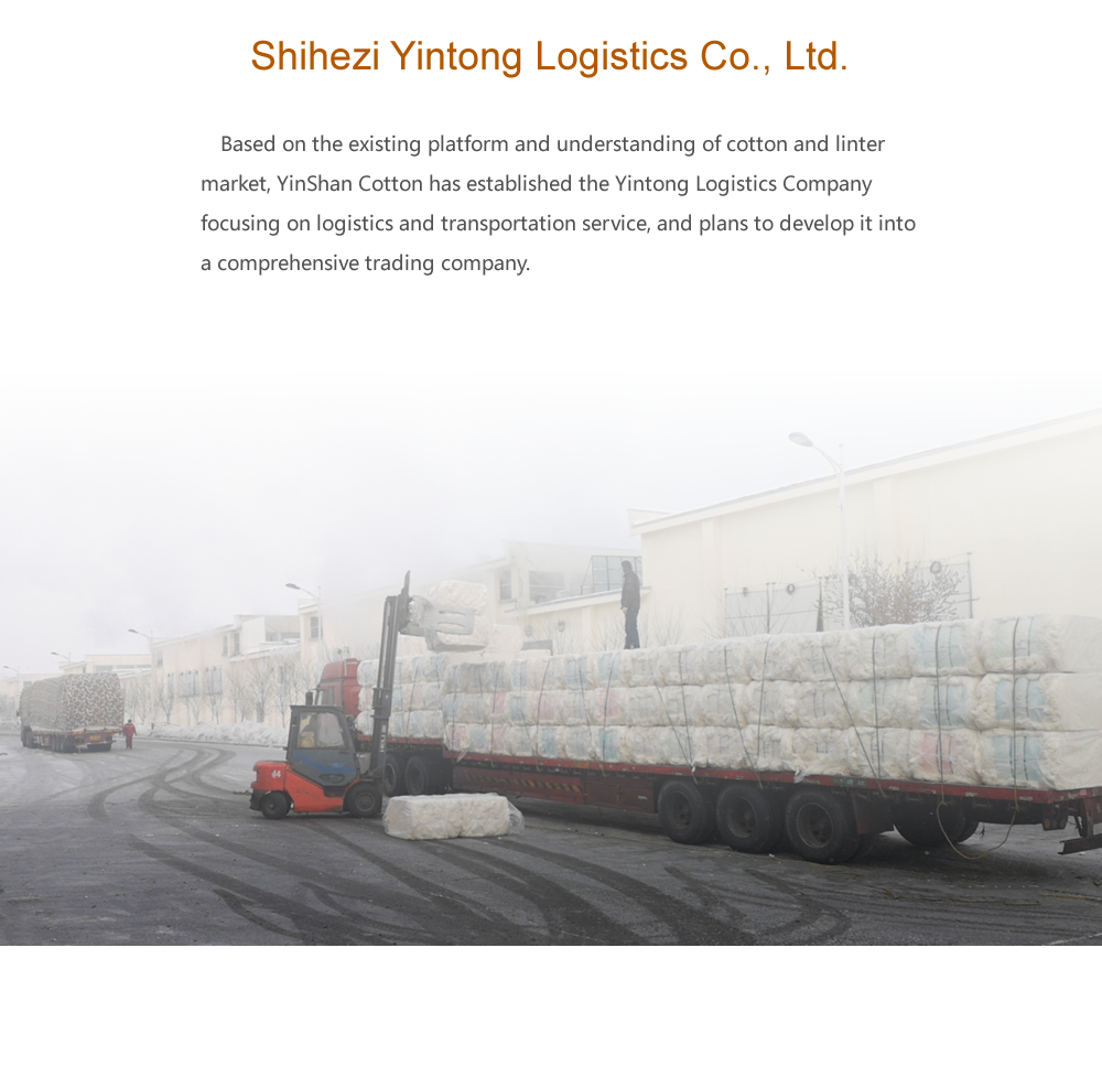 Shihezi Yintong Logistics Co., Ltd..png