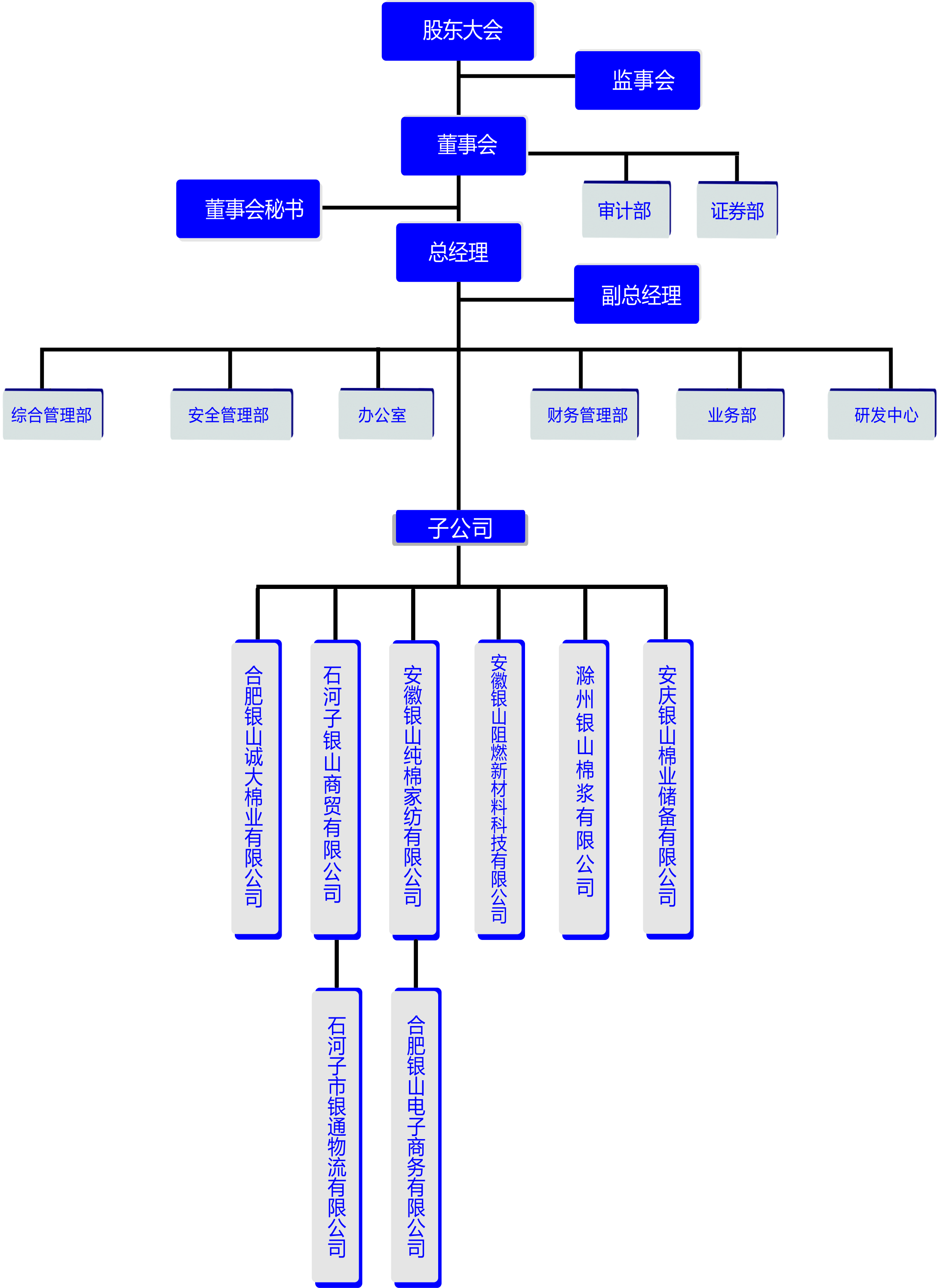 2024组织结构图子公司合一修.jpg